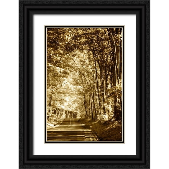 Hausenflock, Alan 17x24 Black Ornate Wood Framed with Double Matting Museum Art Print Titled - Autumn Wood Road IV
