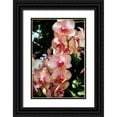 thumbnail image 1 of Hausenflock, Alan 17x24 Black Ornate Wood Framed with Double Matting Museum Art Print Titled - Moth Orchids V, 1 of 4