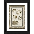 thumbnail image 1 of Hausenflock, Alan 17x24 Black Ornate Wood Framed with Double Matting Museum Art Print Titled - Sand and Shells II, 1 of 4