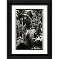 thumbnail image 1 of Hausenflock, Alan 17x24 Black Ornate Wood Framed with Double Matting Museum Art Print Titled - Shapes and Shadows IV, 1 of 4