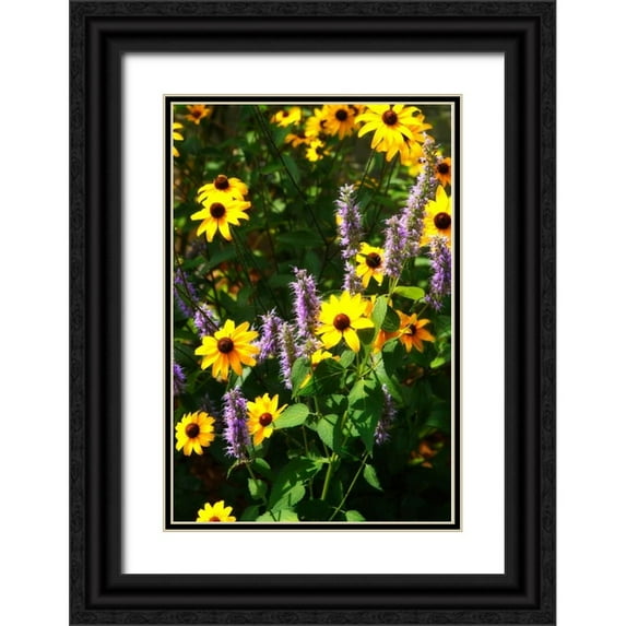 Hausenflock, Alan 17x24 Black Ornate Wood Framed with Double Matting Museum Art Print Titled - Summer Glory I