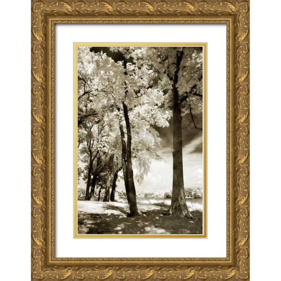 Hausenflock, Alan 17x24 Gold Ornate Wood Framed with Double Matting Museum Art Print Titled - Cobb Island IV