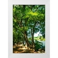 thumbnail image 1 of Hausenflock, Alan 17x24 White Modern Wood Framed Museum Art Print Titled - Spring On The River IV, 1 of 4