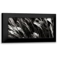 thumbnail image 1 of Hausenflock, Alan 18x11 Black Modern Framed Museum Art Print Titled - Wind Dancers I, 1 of 5