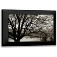 thumbnail image 1 of Hausenflock, Alan 18x13 Black Modern Framed Museum Art Print Titled - Approaching Storm II, 1 of 5