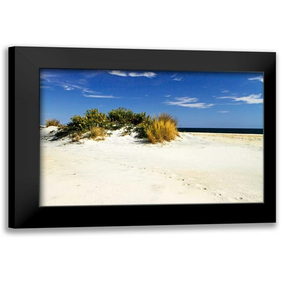 Hausenflock, Alan 18x13 Black Modern Framed Museum Art Print Titled - Assateague Beach III