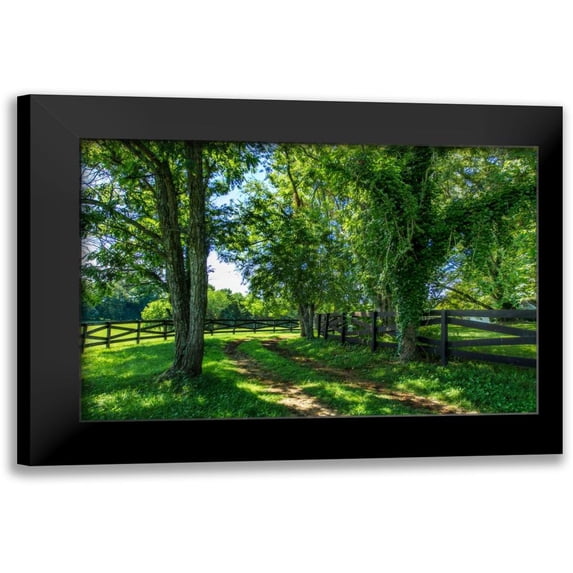 Hausenflock, Alan 18x13 Black Modern Framed Museum Art Print Titled - Green Springs Farm IV