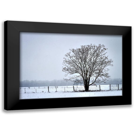 Hausenflock, Alan 18x13 Black Modern Framed Museum Art Print Titled - Snowbound I