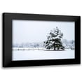 thumbnail image 1 of Hausenflock, Alan 18x13 Black Modern Framed Museum Art Print Titled - Snowy Sentinel, 1 of 5