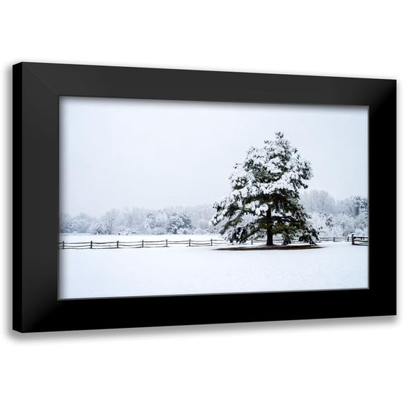 Hausenflock, Alan 18x13 Black Modern Framed Museum Art Print Titled - Snowy Sentinel
