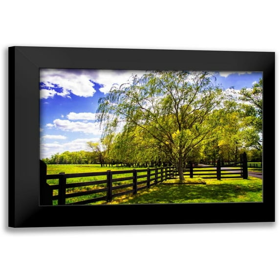 Hausenflock, Alan 18x13 Black Modern Framed Museum Art Print Titled - Spring on the Farm II