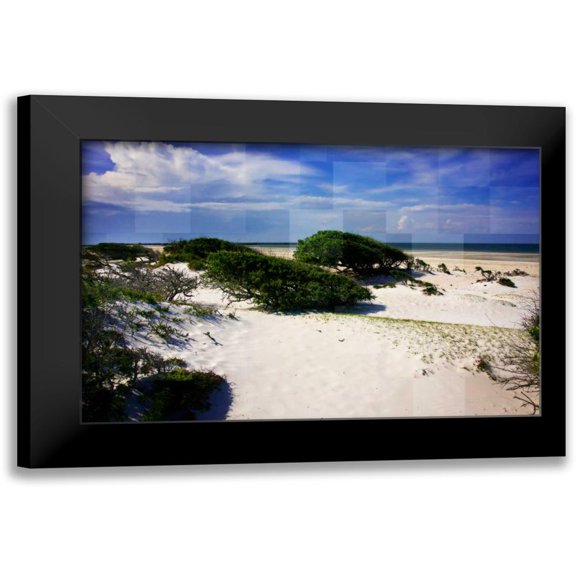 Hausenflock, Alan 18x13 Black Modern Framed Museum Art Print Titled - Windswept Beach