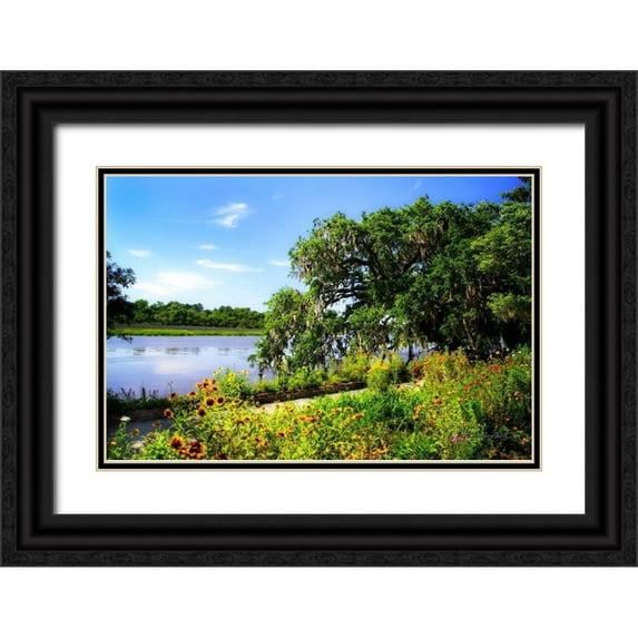 Hausenflock, Alan 18x13 Black Ornate Wood Framed with Double Matting Museum Art Print Titled - Flowers Along the River