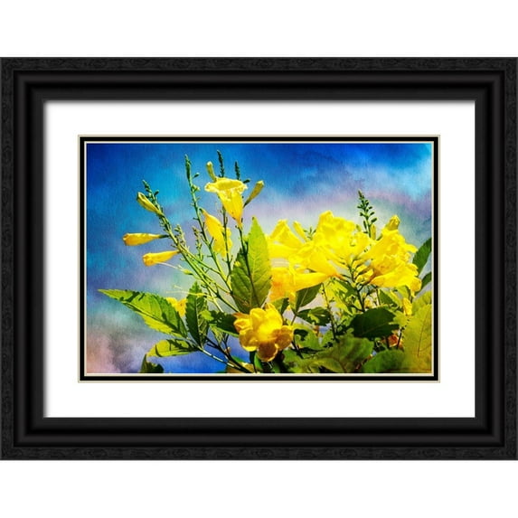 Hausenflock, Alan 18x13 Black Ornate Wood Framed with Double Matting Museum Art Print Titled - Flowers on Watercolor II