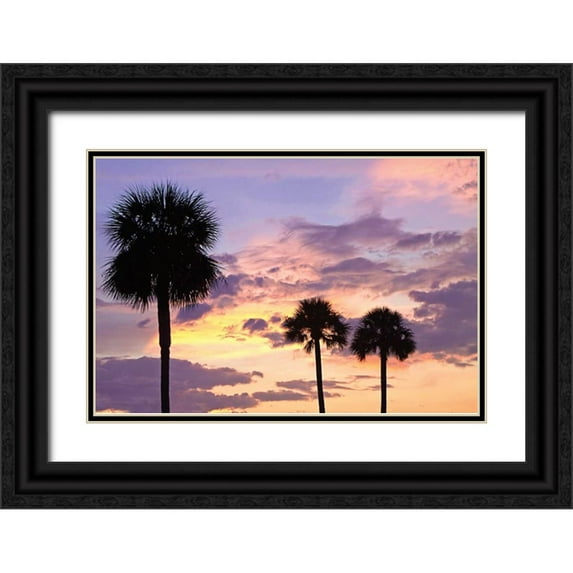 Hausenflock, Alan 18x13 Black Ornate Wood Framed with Double Matting Museum Art Print Titled - San Marcos Sunset IV
