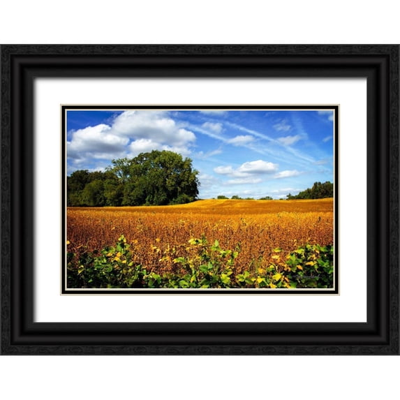 Hausenflock, Alan 18x13 Black Ornate Wood Framed with Double Matting Museum Art Print Titled - Soybean Harvest