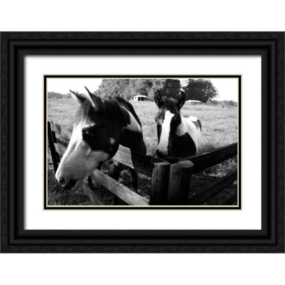 Hausenflock, Alan 18x13 Black Ornate Wood Framed with Double Matting Museum Art Print Titled - Stormy and Foal I
