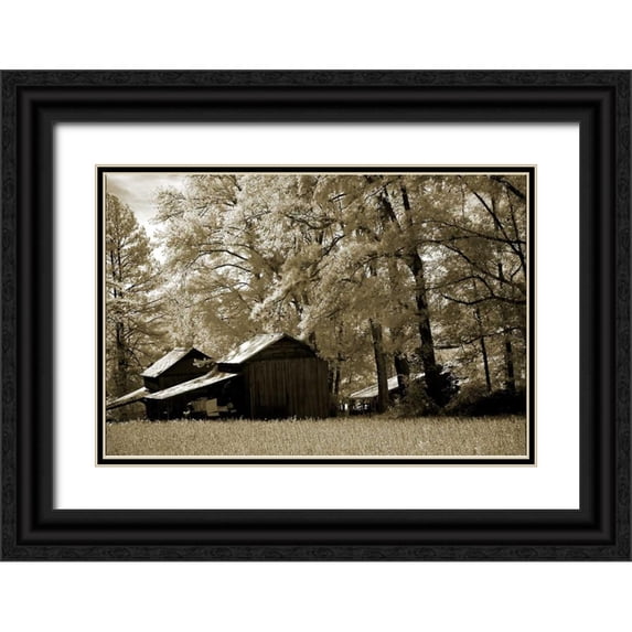 Hausenflock, Alan 18x13 Black Ornate Wood Framed with Double Matting Museum Art Print Titled - Tobacco Road