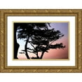 thumbnail image 1 of Hausenflock, Alan 18x13 Gold Ornate Wood Framed with Double Matting Museum Art Print Titled - Cypress Silhouette I, 1 of 4
