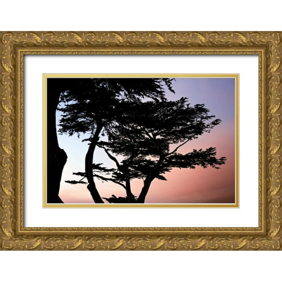 Hausenflock, Alan 18x13 Gold Ornate Wood Framed with Double Matting Museum Art Print Titled - Cypress Silhouette I