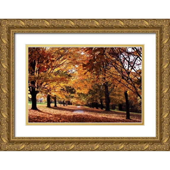 Hausenflock, Alan 18x13 Gold Ornate Wood Framed with Double Matting Museum Art Print Titled - Maymont Maples II