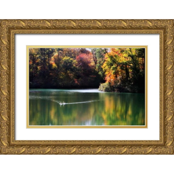 Hausenflock, Alan 18x13 Gold Ornate Wood Framed with Double Matting Museum Art Print Titled - Swans on the Lake I