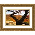 thumbnail image 1 of Hausenflock, Alan 18x13 Gold Ornate Wood Framed with Double Matting Museum Art Print Titled - Wildcat Ridge II, 1 of 4