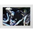 thumbnail image 1 of Hausenflock, Alan 18x13 White Modern Wood Framed Museum Art Print Titled - Black Beauty II, 1 of 4
