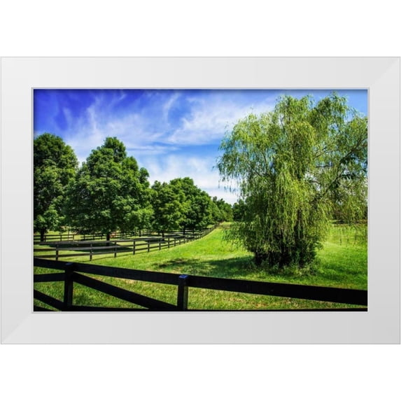 Hausenflock, Alan 18x13 White Modern Wood Framed Museum Art Print Titled - Green Springs Farm II