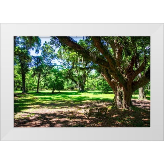 Hausenflock, Alan 18x13 White Modern Wood Framed Museum Art Print Titled - Summer Swing