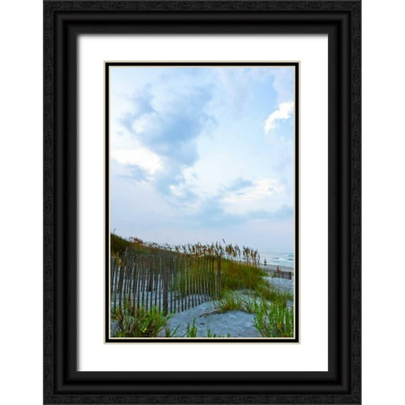Hausenflock, Alan 18x24 Black Ornate Wood Framed with Double Matting Museum Art Print Titled - Early Morning in the Dunes VI