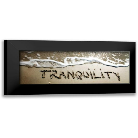 Hausenflock, Alan 18x9 Black Modern Framed Museum Art Print Titled - Tranquility