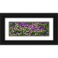 thumbnail image 1 of Hausenflock, Alan 18x9 Black Ornate Wood Framed with Double Matting Museum Art Print Titled - Spring Flowers I, 1 of 4