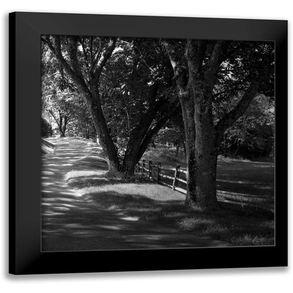 Hausenflock, Alan 20x20 Black Modern Framed Museum Art Print Titled - Ash Lawn Square II