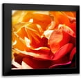 thumbnail image 1 of Hausenflock, Alan 20x20 Black Modern Framed Museum Art Print Titled - Bicolored Angel I, 1 of 5