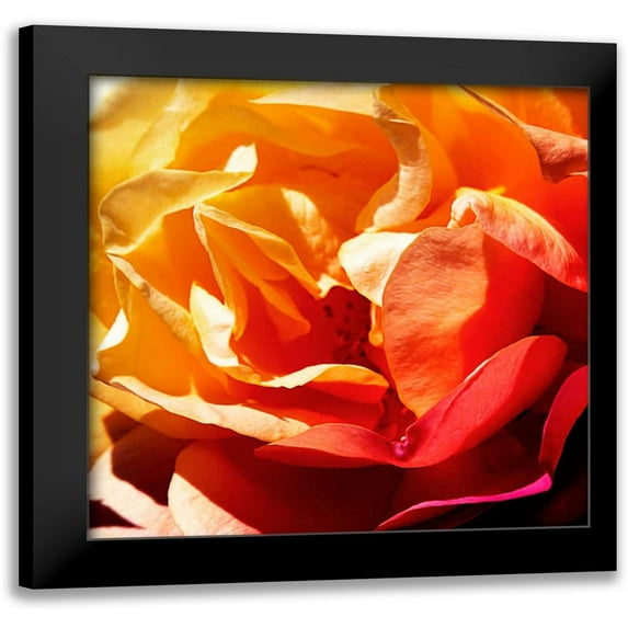 Hausenflock, Alan 20x20 Black Modern Framed Museum Art Print Titled - Bicolored Angel I