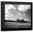 thumbnail image 1 of Hausenflock, Alan 20x20 Black Modern Framed Museum Art Print Titled - Tree Line Sq. II, 1 of 5
