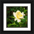 thumbnail image 1 of Hausenflock, Alan 20x20 Black Ornate Wood Framed with Double Matting Museum Art Print Titled - A Single Rose I, 1 of 4