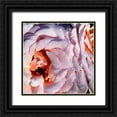 thumbnail image 1 of Hausenflock, Alan 20x20 Black Ornate Wood Framed with Double Matting Museum Art Print Titled - Pink Roses, 1 of 4