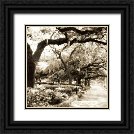 Hausenflock, Alan 20x20 Black Ornate Wood Framed with Double Matting Museum Art Print Titled - Savannah Sepia Sq II
