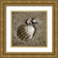 thumbnail image 1 of Hausenflock, Alan 20x20 Gold Ornate Wood Framed with Double Matting Museum Art Print Titled - Seashells VIII, 1 of 4