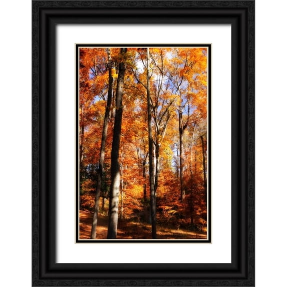 Hausenflock, Alan 23x32 Black Ornate Wood Framed with Double Matting Museum Art Print Titled - Autumn Cathedral I