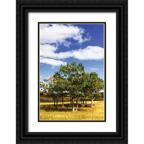 Hausenflock, Alan 23x32 Black Ornate Wood Framed with Double Matting Museum Art Print Titled - Autumn Fields III