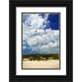 thumbnail image 1 of Hausenflock, Alan 23x32 Black Ornate Wood Framed with Double Matting Museum Art Print Titled - Pelicans over the Dunes VI, 1 of 4