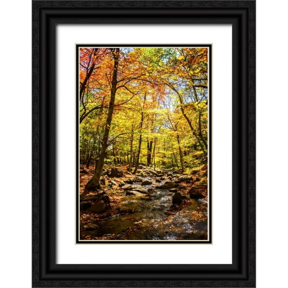 Hausenflock, Alan 23x32 Black Ornate Wood Framed with Double Matting Museum Art Print Titled - Picnic Perfect III