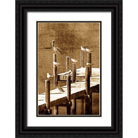 Hausenflock, Alan 23x32 Black Ornate Wood Framed with Double Matting Museum Art Print Titled - Sea Birds I