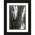 thumbnail image 1 of Hausenflock, Alan 23x32 Black Ornate Wood Framed with Double Matting Museum Art Print Titled - Shedded Bark I, 1 of 4