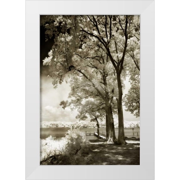 Hausenflock, Alan 23x32 White Modern Wood Framed Museum Art Print Titled - Cobb Island III