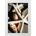 thumbnail image 1 of Hausenflock, Alan 23x32 White Modern Wood Framed Museum Art Print Titled - Shells by the Sea II, 1 of 4