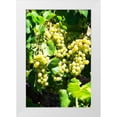 thumbnail image 1 of Hausenflock, Alan 23x32 White Modern Wood Framed Museum Art Print Titled - Sunny Vineyard I, 1 of 4